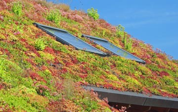 Weston Colley living roof systems