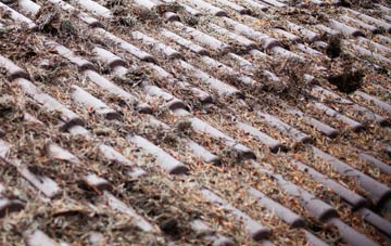 Weston Colley roof cleaning companies