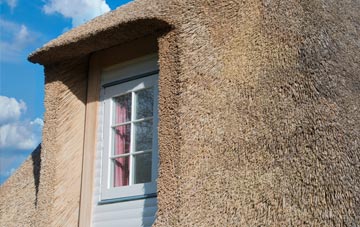 Weston Colley thatch roof disadvantages