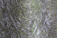 Weston Colley fibreglass roof work